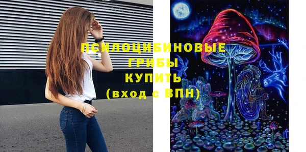 шишки Алексин