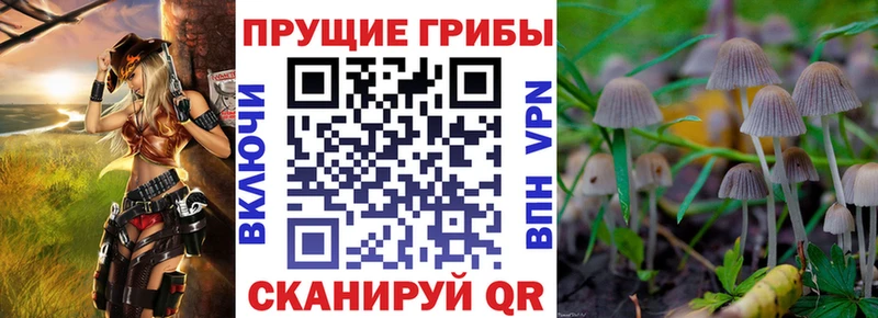 Псилоцибиновые грибы ЛСД  купить наркотик  Юрьев-Польский 